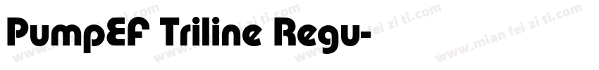 PumpEF Triline Regu字体转换